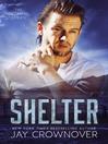 Imagen de portada para Shelter